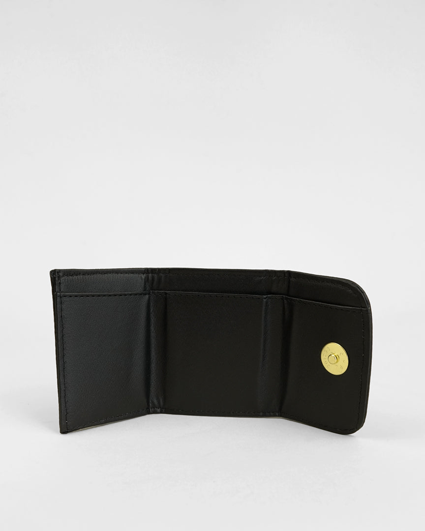 CARTERA NEGRA