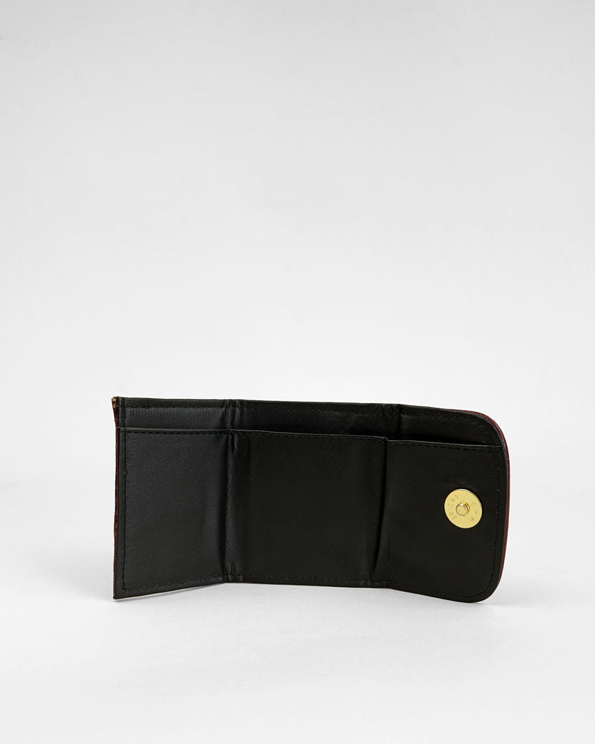 CARTERA SHEDRON